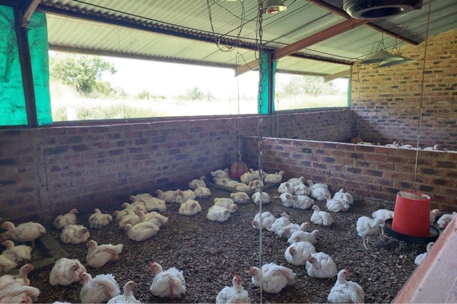 4 Bedroom Property for Sale in Modimolle Rural Limpopo