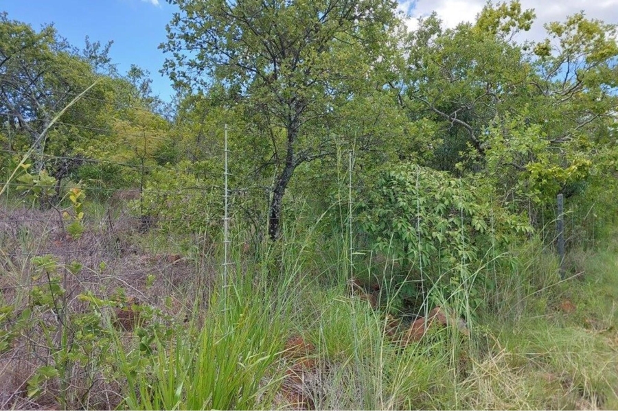 4 Bedroom Property for Sale in Modimolle Rural Limpopo