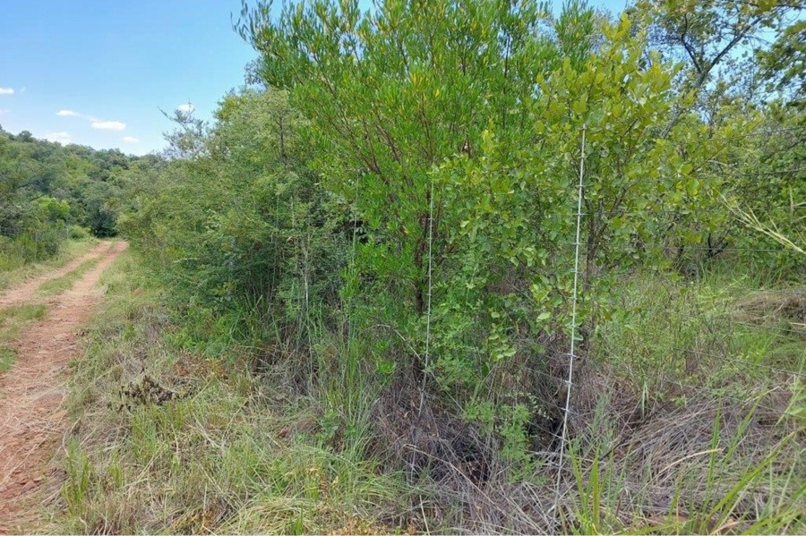 4 Bedroom Property for Sale in Modimolle Rural Limpopo