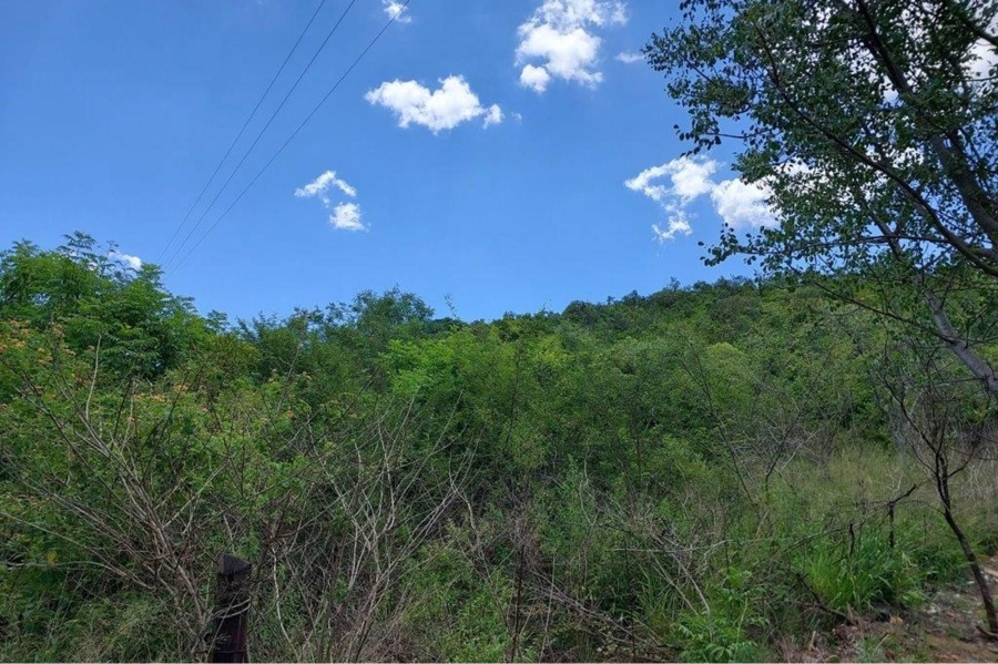 4 Bedroom Property for Sale in Modimolle Rural Limpopo