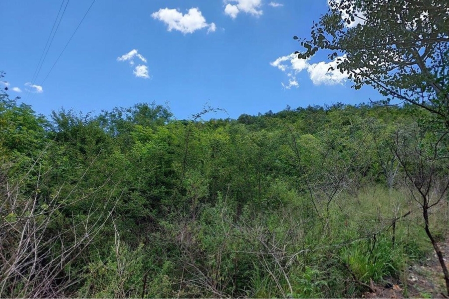 4 Bedroom Property for Sale in Modimolle Rural Limpopo