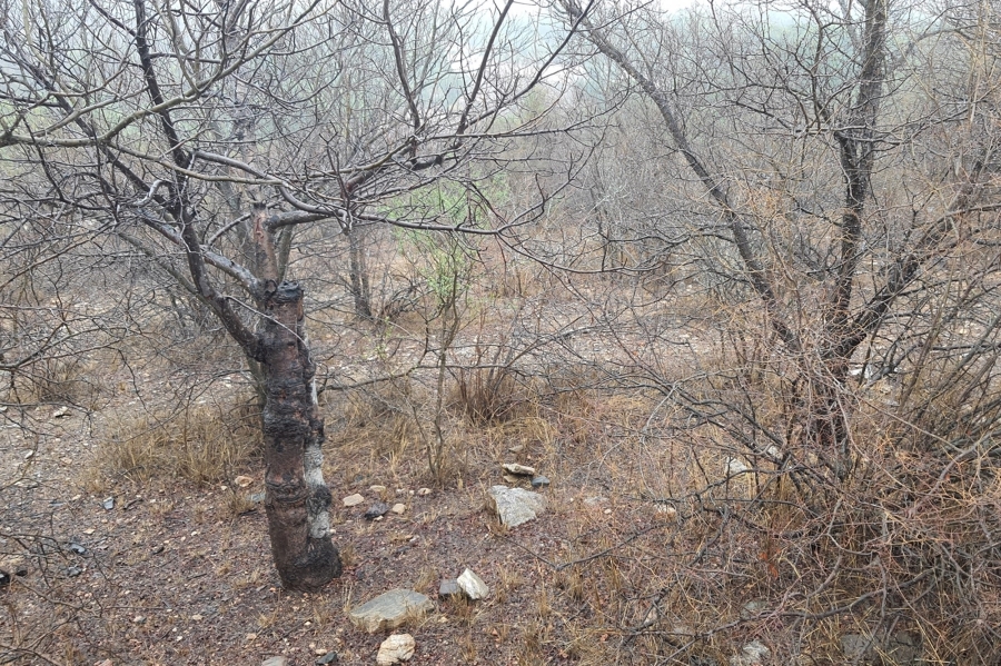 0 Bedroom Property for Sale in Elephant Rock Eco Estate Limpopo