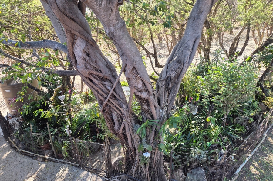 4 Bedroom Property for Sale in Blyde Botanical Reserve Limpopo