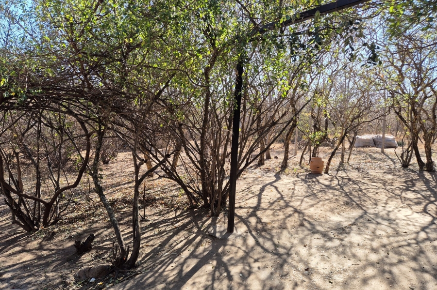 4 Bedroom Property for Sale in Blyde Botanical Reserve Limpopo