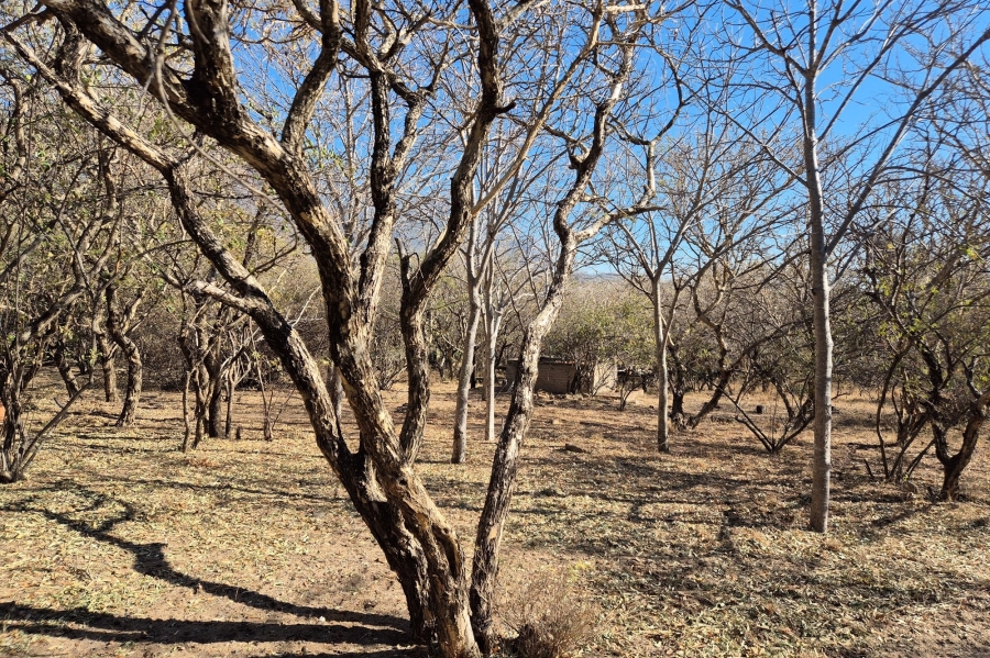4 Bedroom Property for Sale in Blyde Botanical Reserve Limpopo