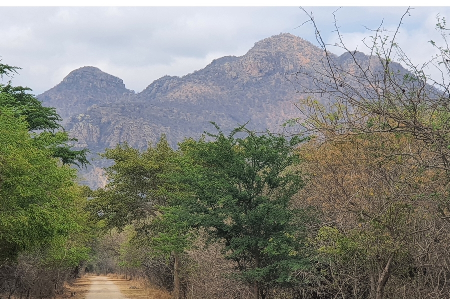 4 Bedroom Property for Sale in Blyde Botanical Reserve Limpopo