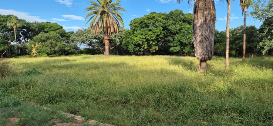 To Let commercial Property for Rent in Mokopane Rural Limpopo