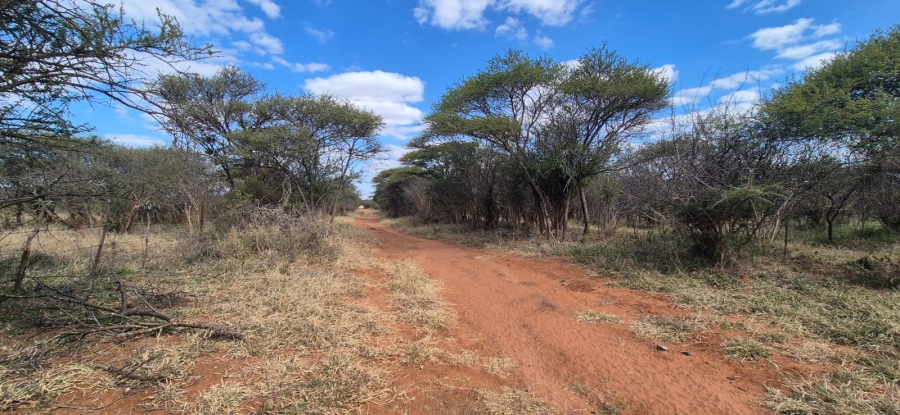 To Let commercial Property for Rent in Mokopane Rural Limpopo