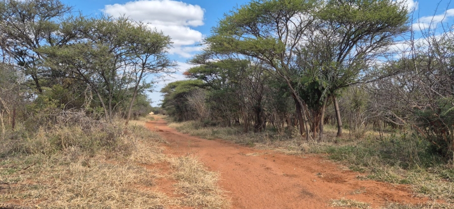 To Let commercial Property for Rent in Mokopane Rural Limpopo