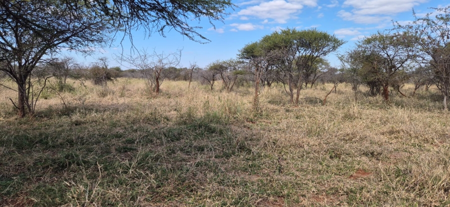 To Let commercial Property for Rent in Mokopane Rural Limpopo