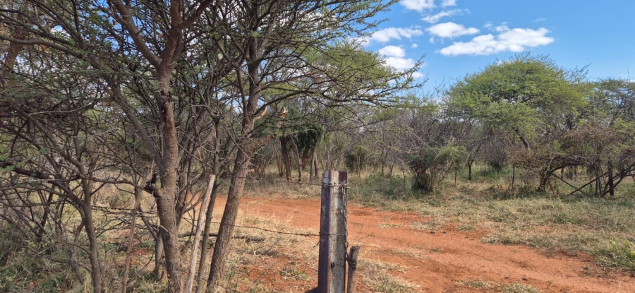 To Let commercial Property for Rent in Mokopane Rural Limpopo