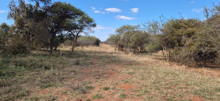 To Let commercial Property for Rent in Mokopane Rural Limpopo