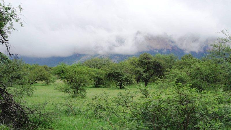 3 Bedroom Property for Sale in Sterkrivier Limpopo