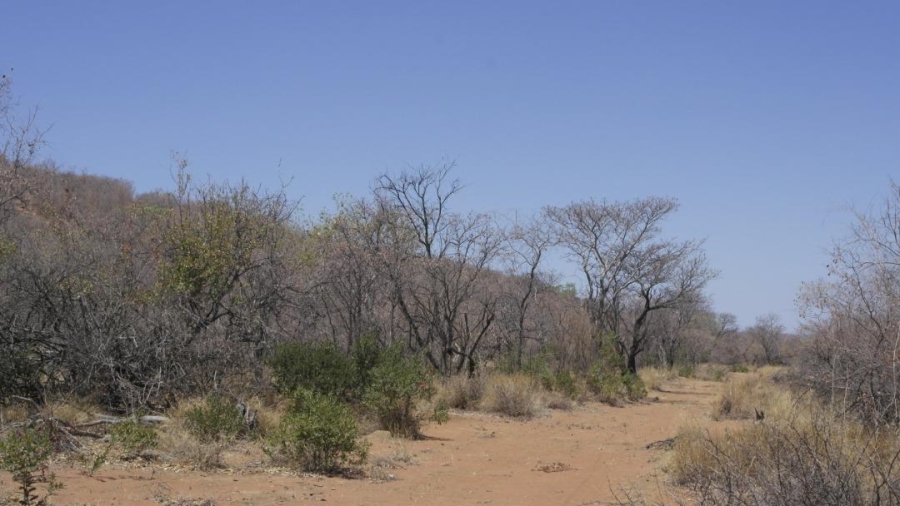 0 Bedroom Property for Sale in Lephalale Limpopo