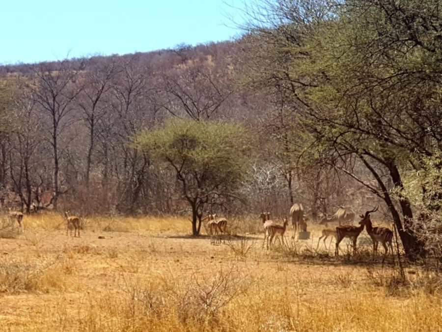 0 Bedroom Property for Sale in Lephalale Limpopo