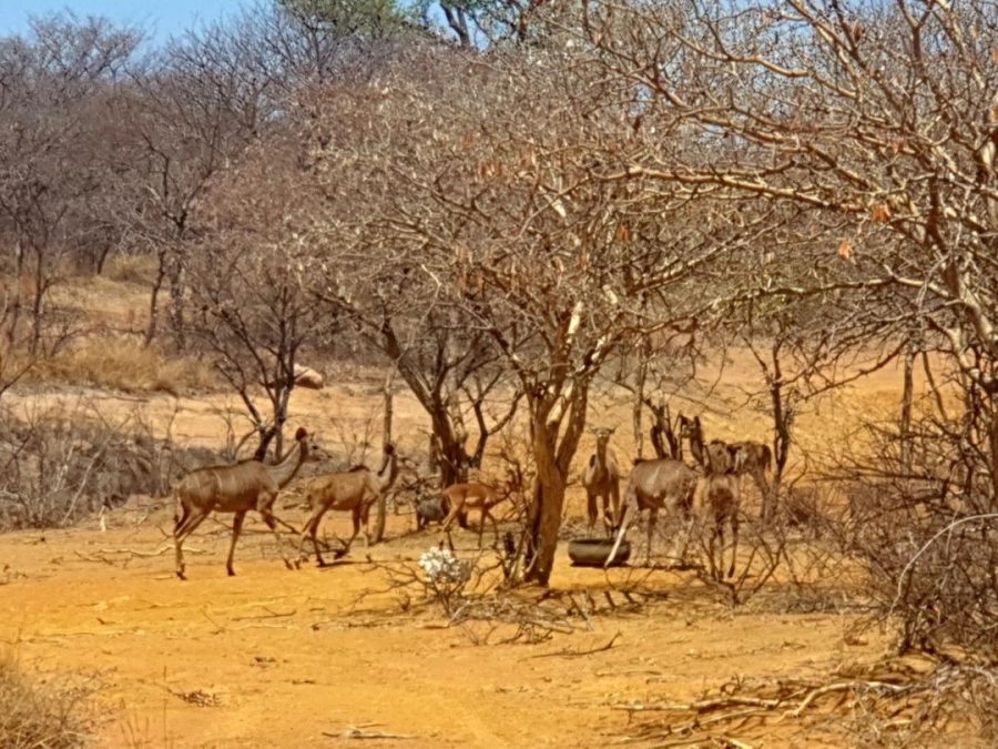 0 Bedroom Property for Sale in Lephalale Limpopo