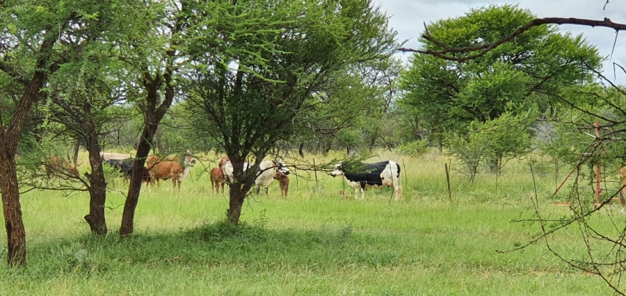 0 Bedroom Property for Sale in Mookgopong Limpopo