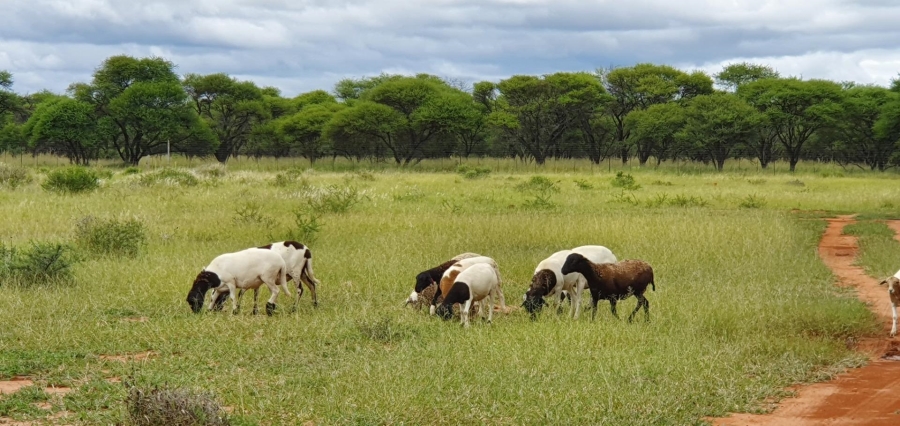 0 Bedroom Property for Sale in Mookgopong Limpopo