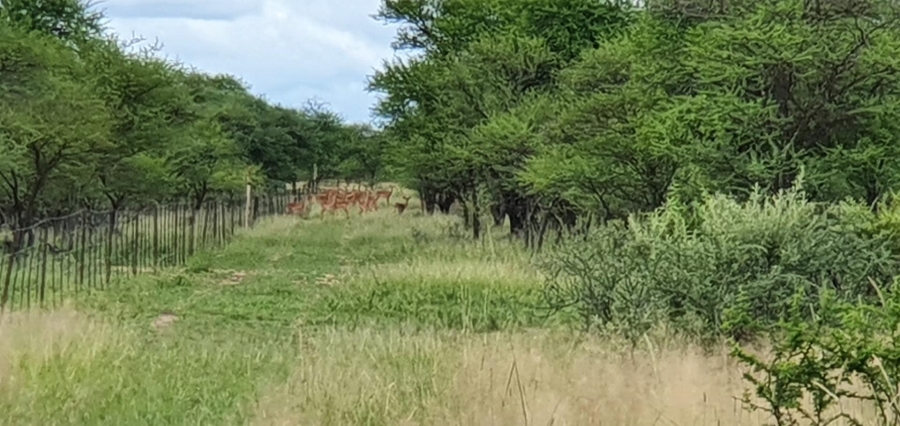0 Bedroom Property for Sale in Mookgopong Limpopo