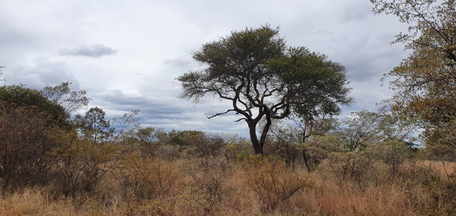 4 Bedroom Property for Sale in Ditholo Wildlife Estate Limpopo