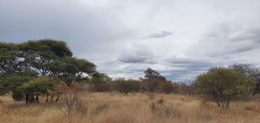 4 Bedroom Property for Sale in Ditholo Wildlife Estate Limpopo