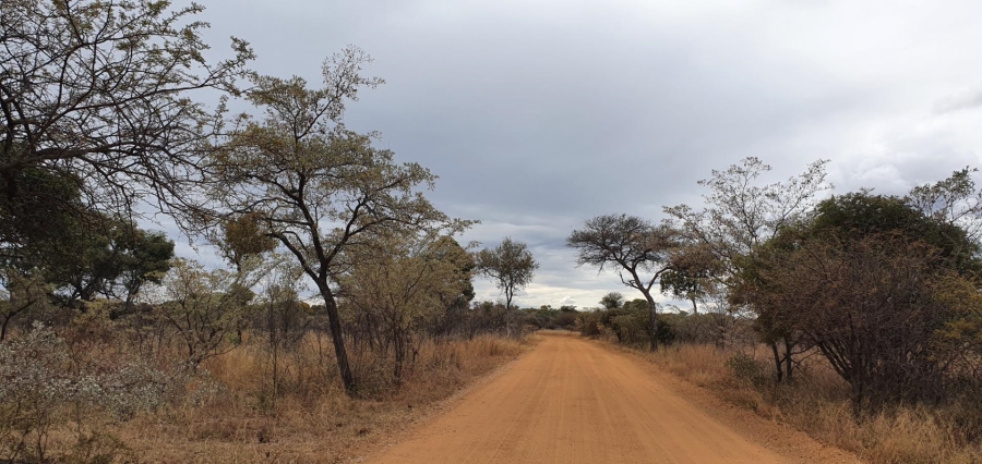 4 Bedroom Property for Sale in Ditholo Wildlife Estate Limpopo