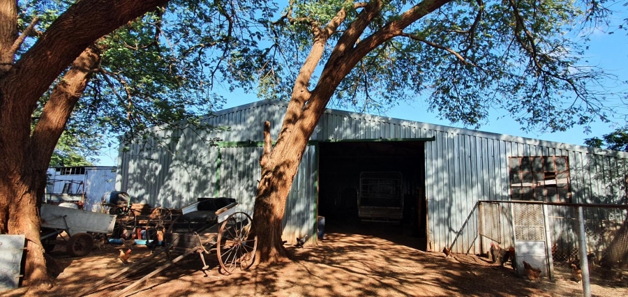 0 Bedroom Property for Sale in Roedtan Limpopo