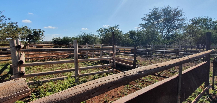 0 Bedroom Property for Sale in Roedtan Limpopo