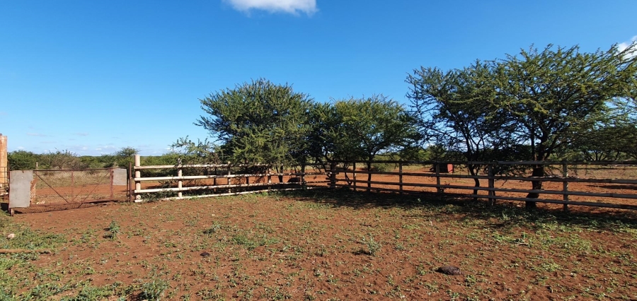 0 Bedroom Property for Sale in Roedtan Limpopo