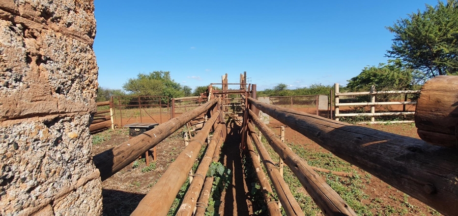 0 Bedroom Property for Sale in Roedtan Limpopo