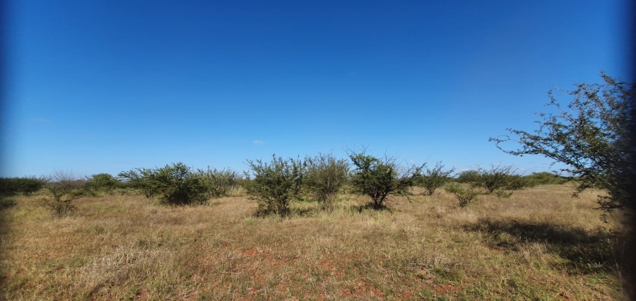 0 Bedroom Property for Sale in Roedtan Limpopo