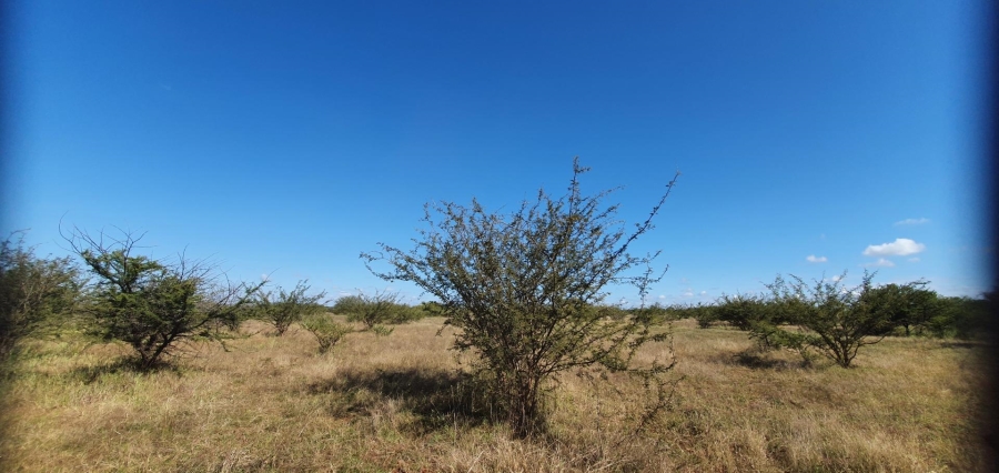 0 Bedroom Property for Sale in Roedtan Limpopo