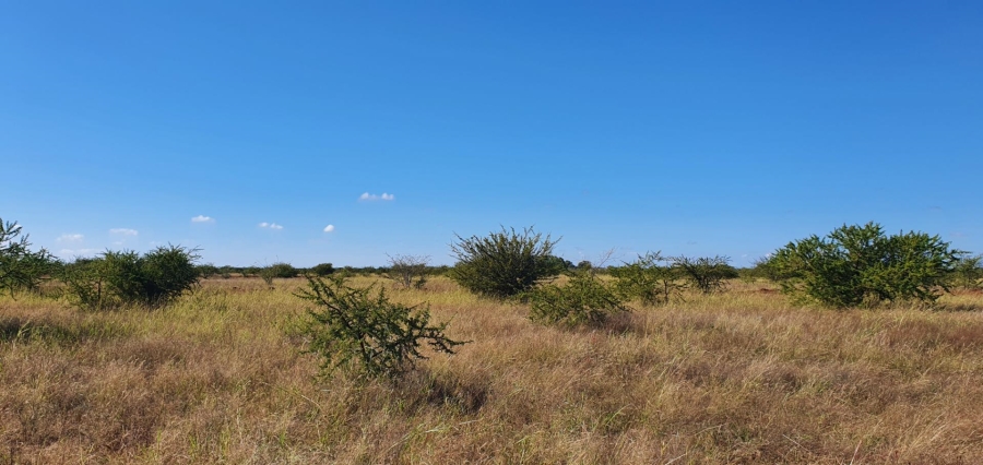 0 Bedroom Property for Sale in Roedtan Limpopo