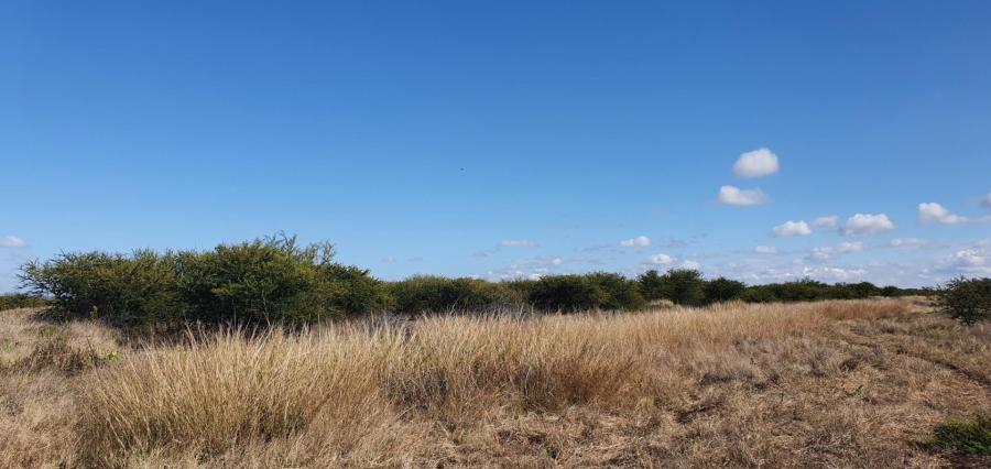 0 Bedroom Property for Sale in Roedtan Limpopo