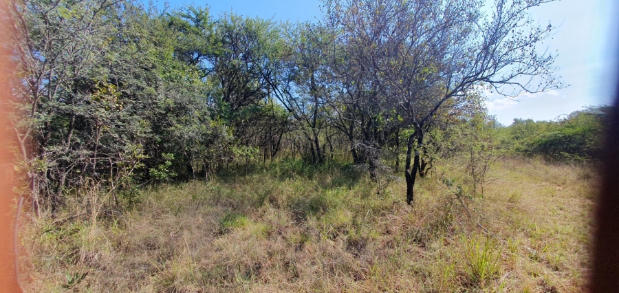 0 Bedroom Property for Sale in Mookgopong Limpopo