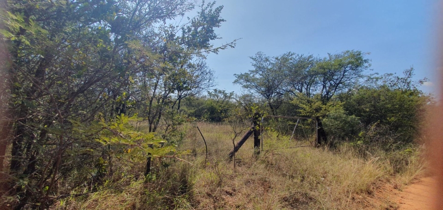 0 Bedroom Property for Sale in Mookgopong Limpopo