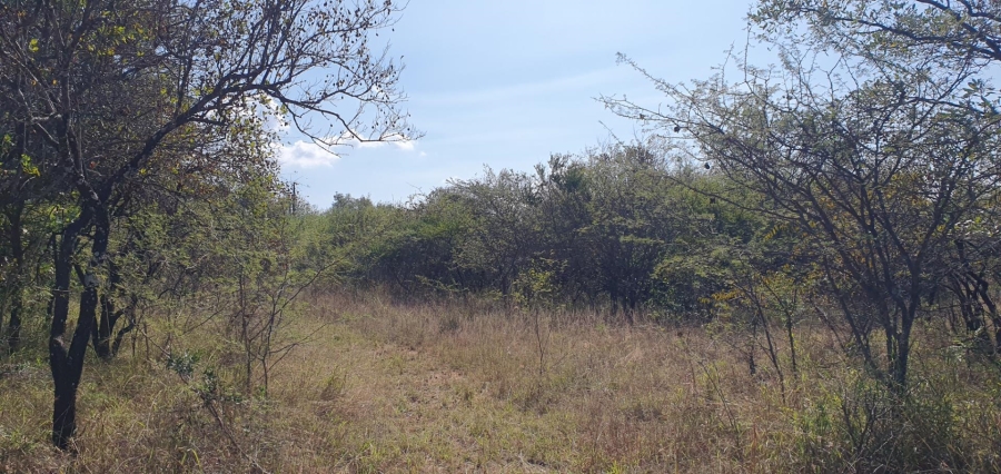 0 Bedroom Property for Sale in Mookgopong Limpopo