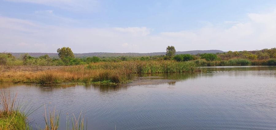 4 Bedroom Property for Sale in Mookgopong Limpopo