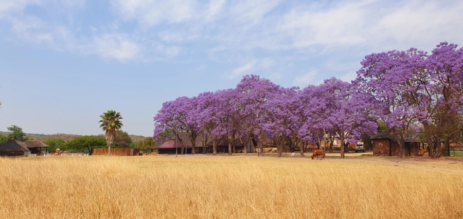 4 Bedroom Property for Sale in Mookgopong Limpopo