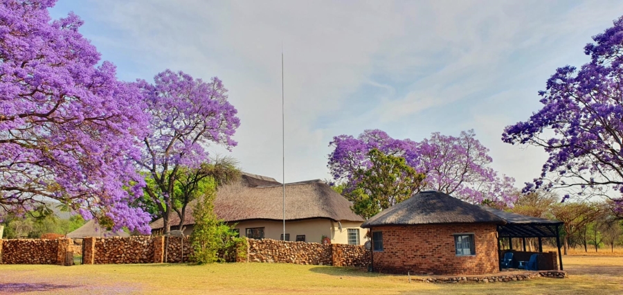 4 Bedroom Property for Sale in Mookgopong Limpopo
