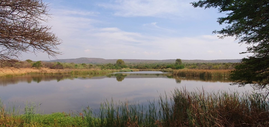 4 Bedroom Property for Sale in Mookgopong Limpopo