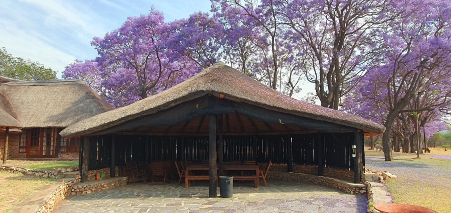 4 Bedroom Property for Sale in Mookgopong Limpopo