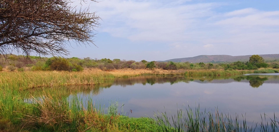 4 Bedroom Property for Sale in Mookgopong Limpopo