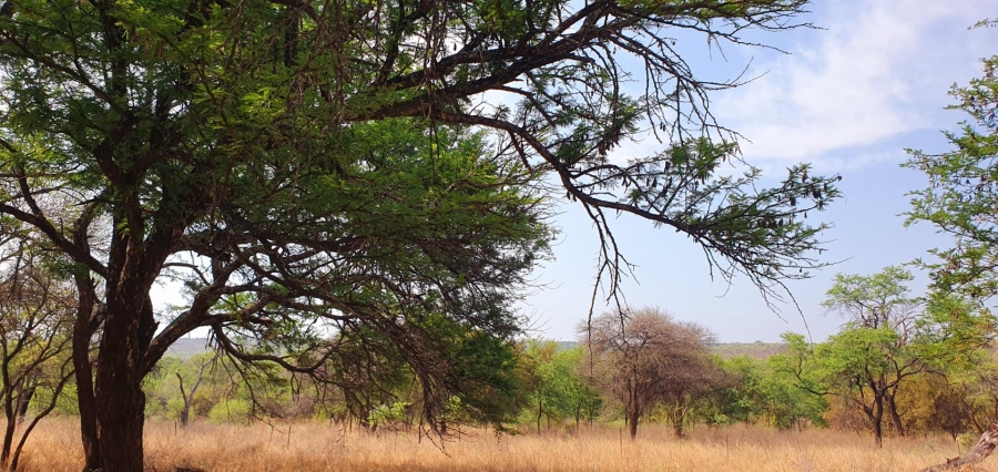 4 Bedroom Property for Sale in Mookgopong Limpopo