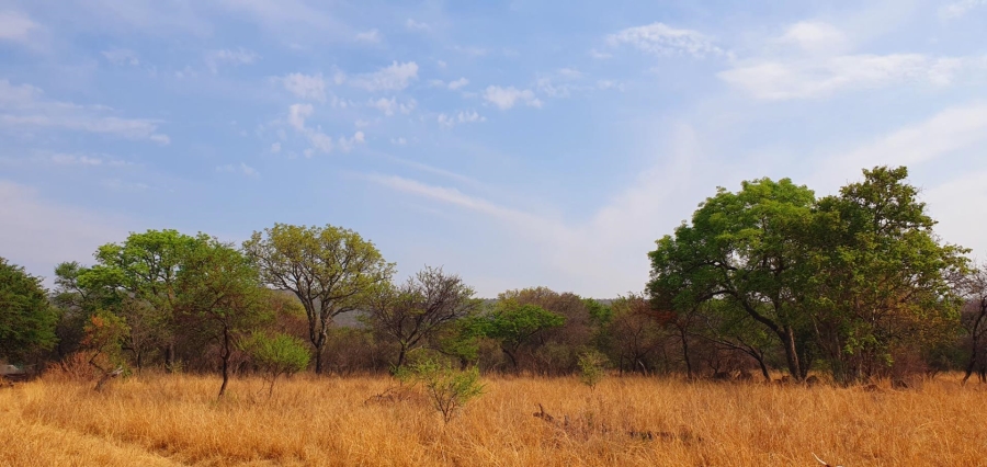 4 Bedroom Property for Sale in Mookgopong Limpopo
