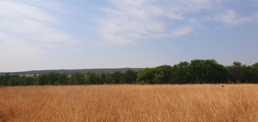 4 Bedroom Property for Sale in Mookgopong Limpopo