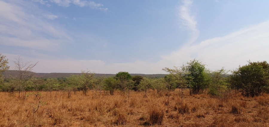4 Bedroom Property for Sale in Mookgopong Limpopo