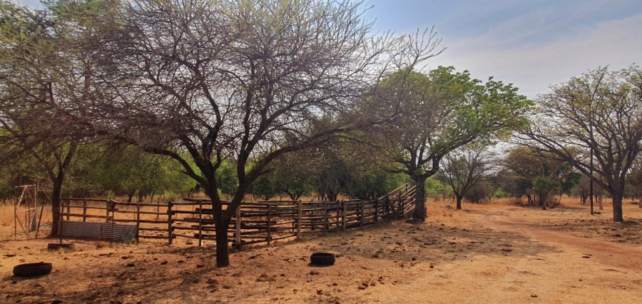 4 Bedroom Property for Sale in Mookgopong Limpopo
