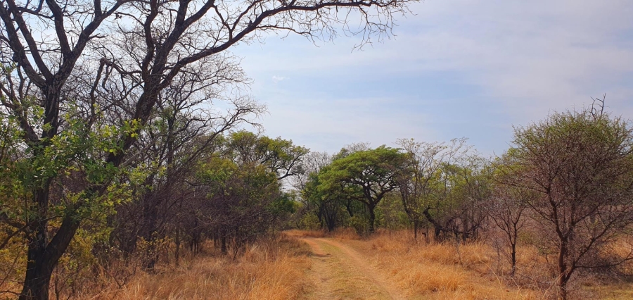 4 Bedroom Property for Sale in Mookgopong Limpopo