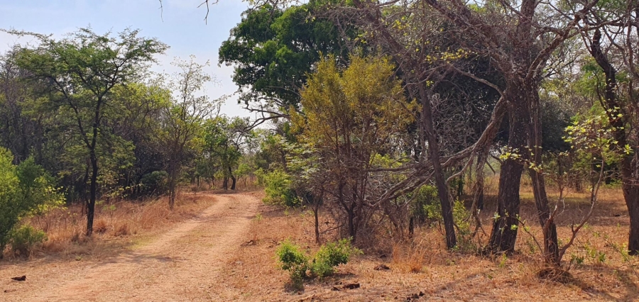 4 Bedroom Property for Sale in Mookgopong Limpopo